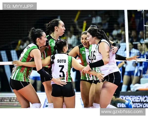 瑞士女排精彩对决精英赛直播全程回顾与分析